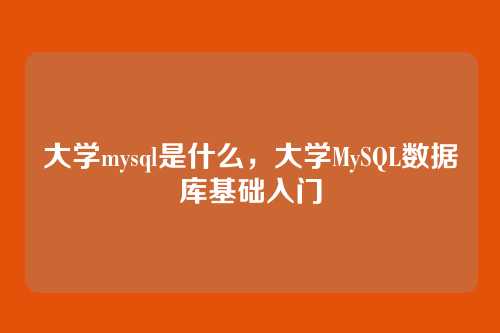 大学mysql是什么,大学MySQL数据库基础入门