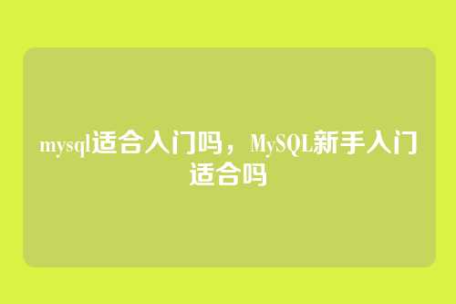 mysql适合入门吗，MySQL新手入门适合吗